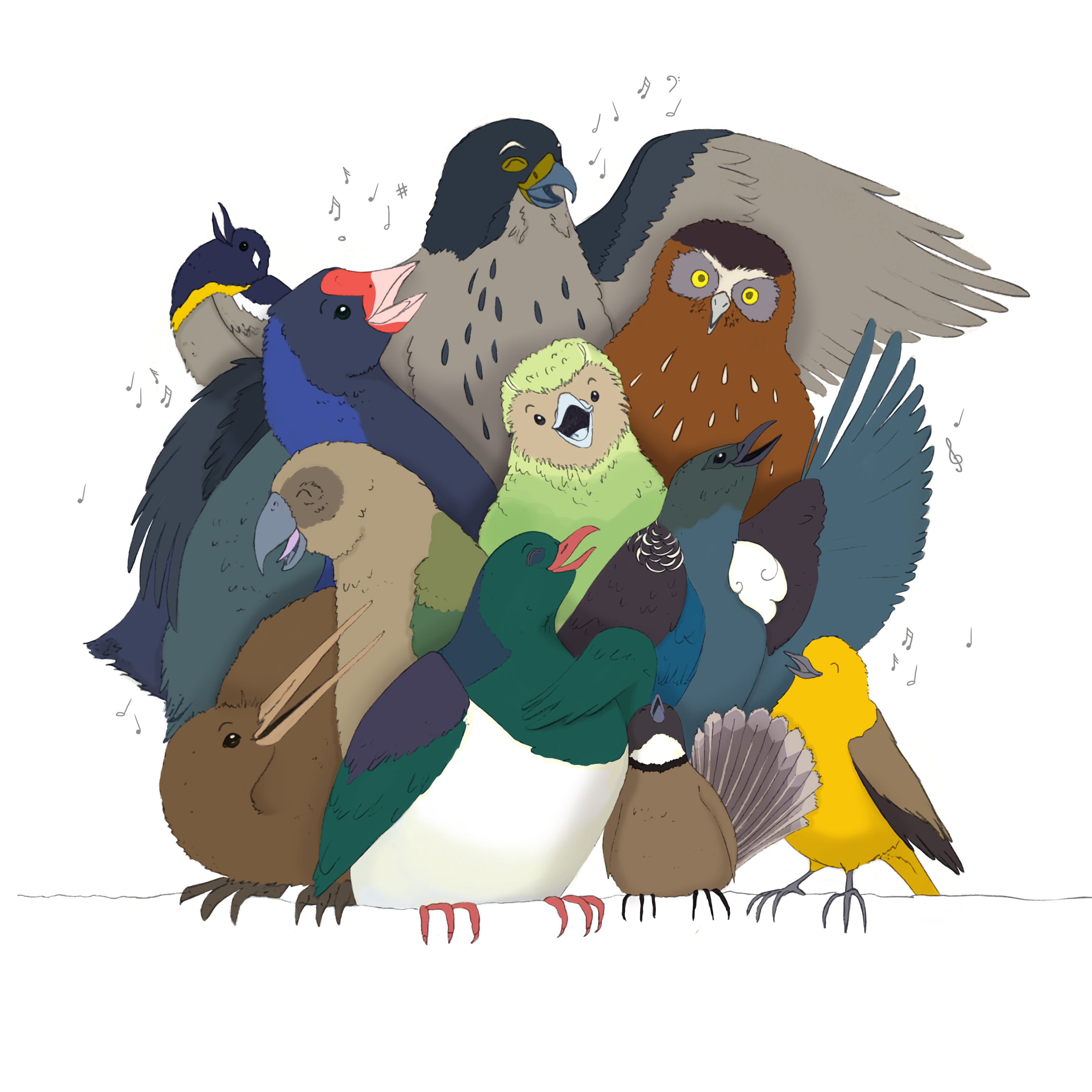 NZ Music Month bird choir illustration